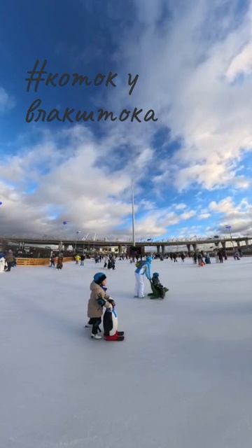 коток у влакштока♡
