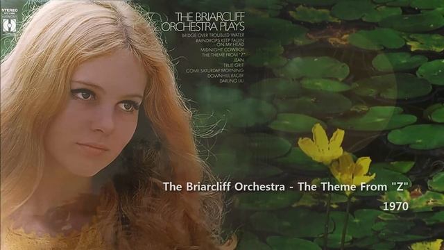Briarcliff Orc. - Raindrops Keep Fallin' on My Head / The Theme From "Z" /  The Darling Lili (1970)