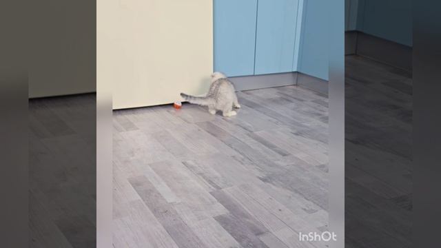 1000060967.mp4