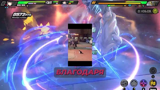 Интересные факты про кошек