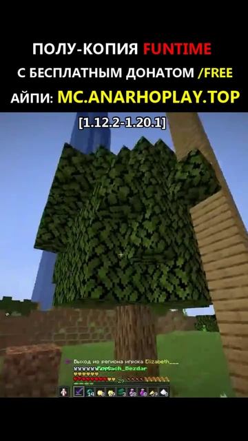 играю на mc.anarhoplay.top #Minecraft #shorts