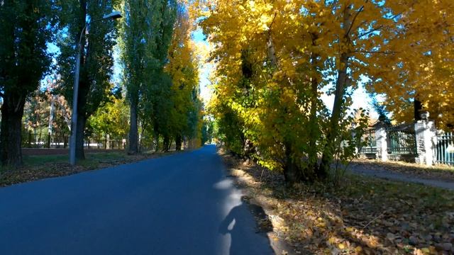 Прогулка по площади Титова и парку Гагарина