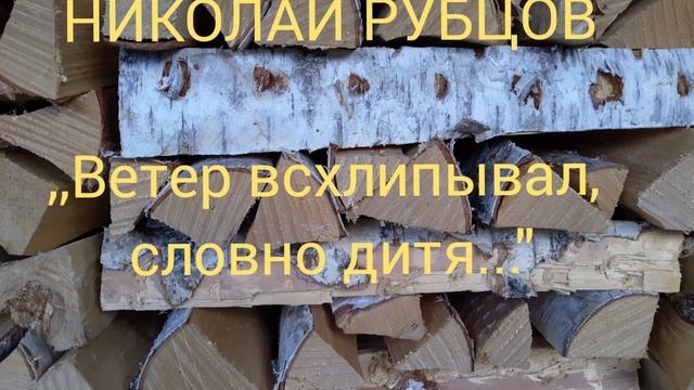 Николай Рубцов ,,Ветер всхлипывал, словно дитя..." читает Кирпиченкова Людмила