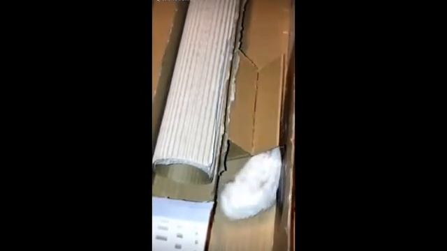 Самые популярные видео в like !