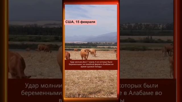 15.02.2025 Что произошло в мире
