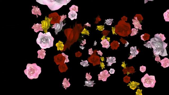 ROSES TR 7 MULTI1