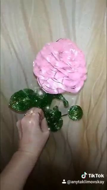 Роза из рубки