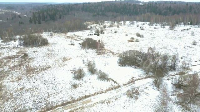 Зеленино 6.2 Гектар