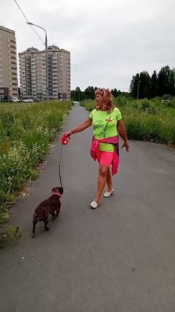 720p_Видео_от_Александр_Сторожко_Смешные_Видео (21)