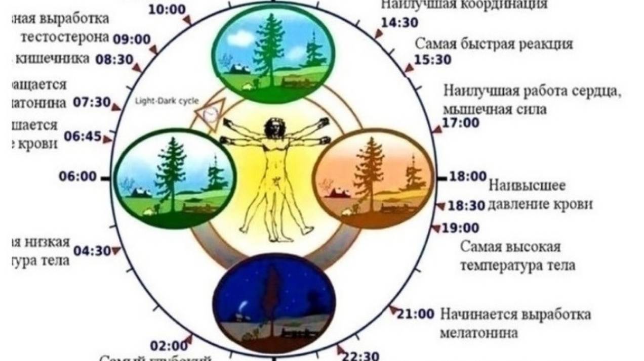 5.2.3+  Физические метеосоставляющие жизни человека  Пропорция динитрогениум/диоксид 80/20%