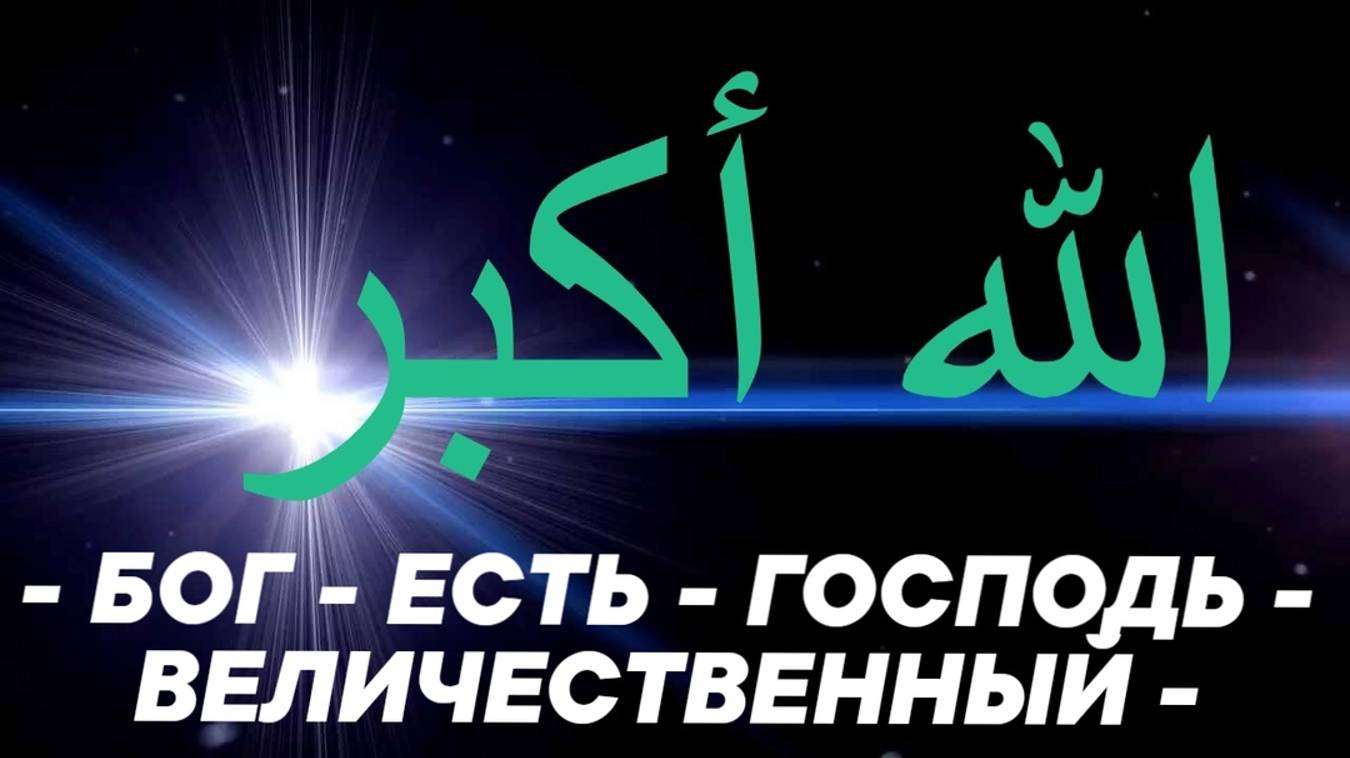ЖМИ СЮДА -----﹥﹥    https://vk.com/video422728254_456239076 ......................................