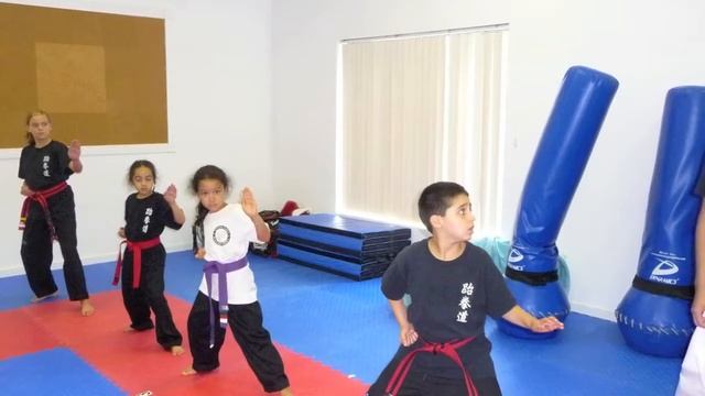 Master Park's Black Belt America: 2010 Boot Camp