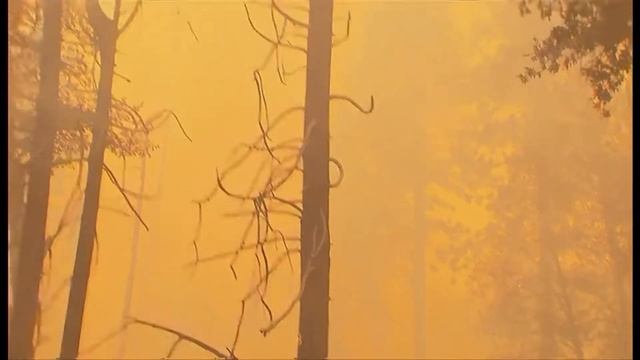 Weather Events - Wildfires in Yosemte Sequoia trees threatened (USA) - BBC & ITV - 25th July 2022