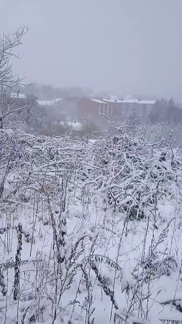 Падал снег Сальваторе Адамо