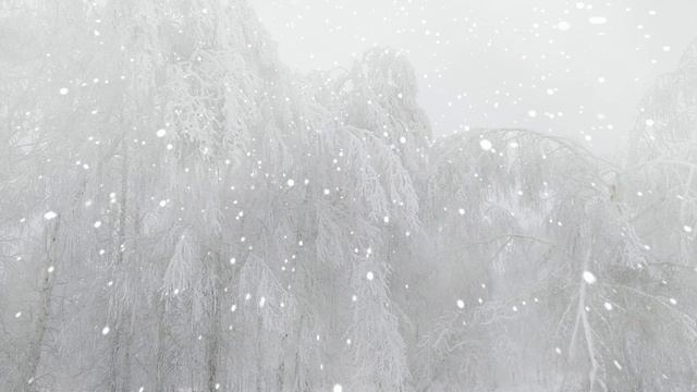 Футаж. Зимний пейзаж 140
