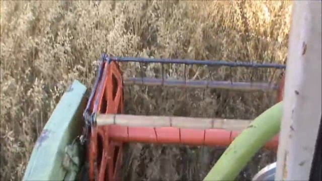 CLAAS DOMINATOR 96 AT WORK-LA MUNCA 2K17