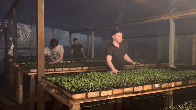 Плачу на техно