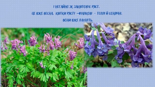 Ю. Смолич - Життя квітів.