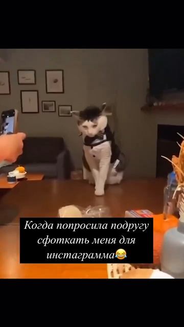 😂😂😂