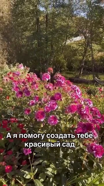 БЛОГ ПРО ЗАГОРОДНУЮ ЖИЗНЬ И ЛАНДШАФТНЫЙ ДИЗАЙН