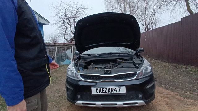 Упоры капота EASYLIFT 022.102 для KIA RIO X-Line
