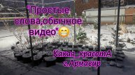 Очередной осмотр зимующей гортензии.Как рабтает опрыскиватель?16.02.25