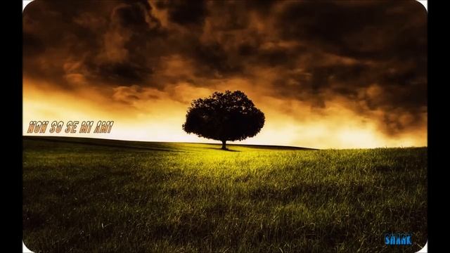 Shark - Non so se mi ami