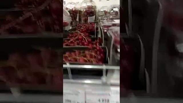 магадански цены шок цена