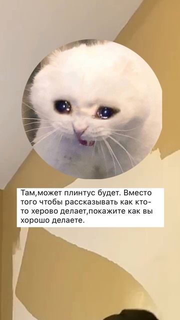 КРИВОРУКИХ СПАСАЕТ ПЛИНТУС