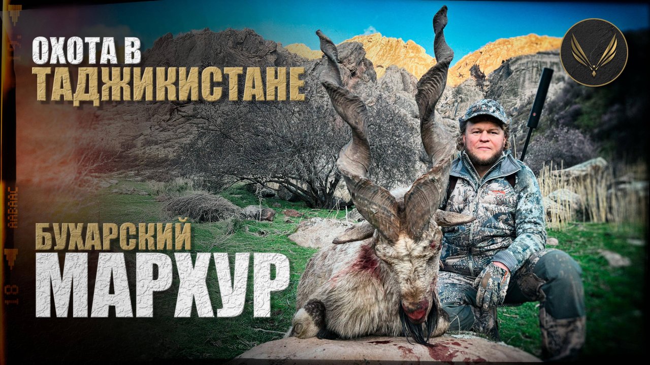 ОХОТА В ТАДЖИКИСТАНЕ |2022| БУХАРСКИЙ МАРХУР | БУХАРСКИЙ УРИАЛ | ОХОТА С ДЕНИСОМ МОРОЗОВЫМ