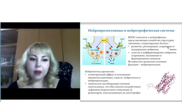 Биологические маркеры шизофрении: поиск  и клиническое применение