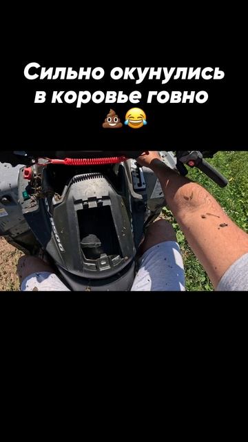 Сильно окунулись В КОРОВЬЕ ГОВНО! Stels ATV 850 Guepard Thophy PRO EPS