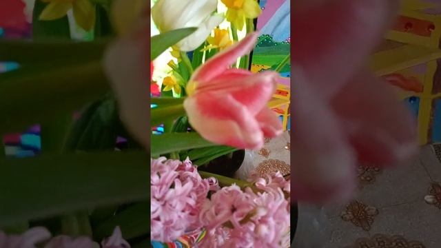 ✨🌟💫Хорошего дня ☀, вечера🌙и отличного весеннего ❤настроения💐! #доброепожелание#позитив#newvideo#