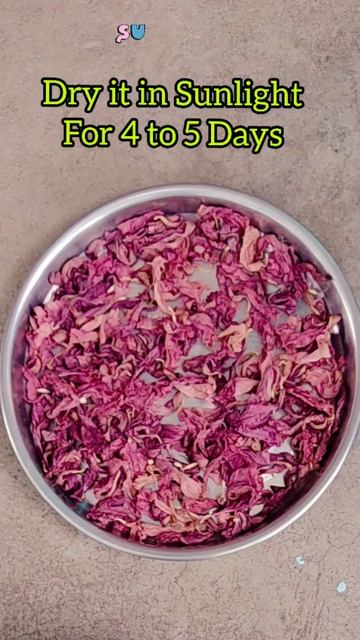 Homemade Hibiscus Powder | For Skin & Hair Care | Shorts