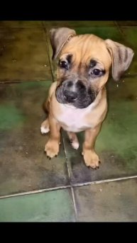 ПЭС #Рекомендации #ЛучшаяМимикасИИ #покапибаримся #УютныеРецепты