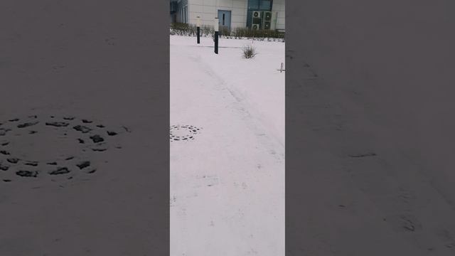 Цитата/Мотивация!