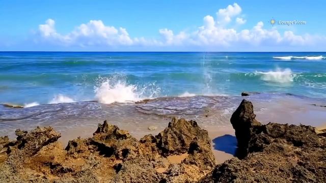 Топовый лук лето 2024!!!