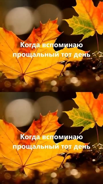 Осеннее танго караоке #song #music #песняклип #лейсяпесня #lalashorts #duet