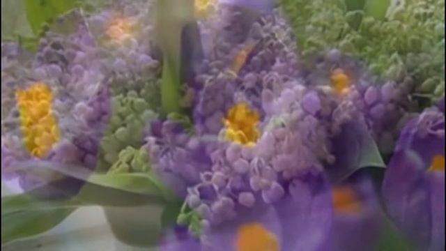 Экзотические цветы