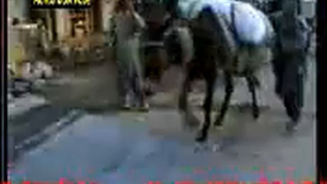 Афганистан эй хамватанон