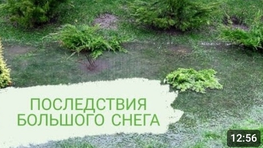 ПОСЛЕДСТВИЯ БОЛЬШОГО СНЕГА И РЕЗКОГО ПОТЕПЛЕНИЯ. 20.12.2023г. БЕЛАРУСЬ, ГОМЕЛЬСКАЯ ОБЛАСТЬ