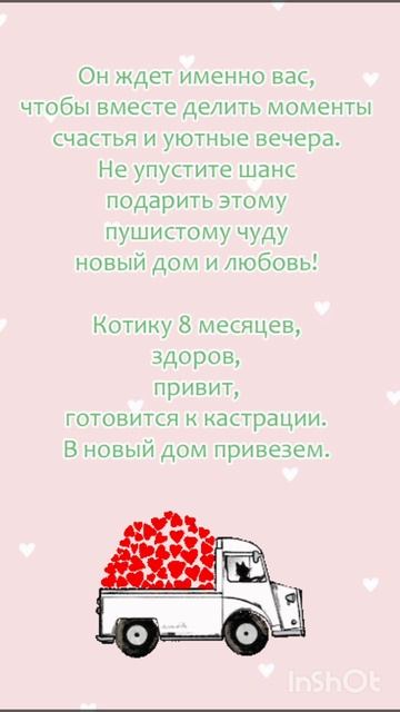 Пушистый котик Черныш ищет своего хозяина! ❤