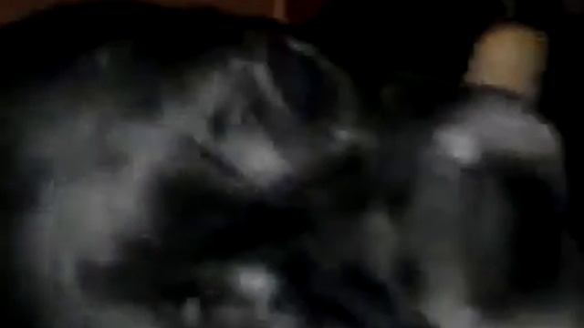 Адский пес ржач смотреть до конца (прикол)