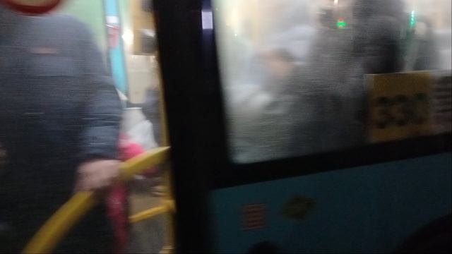 Автобус 392 маршрут Волгабас 5270.G4 6621 и 330 маршрут Волгабас 5270.G4 7120 Колпино Тверская Улица