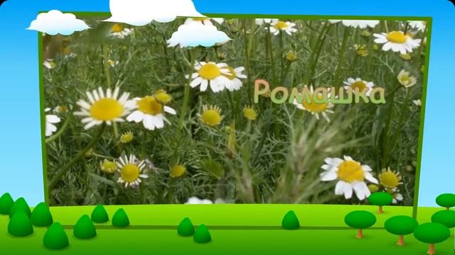 Мои документы.mp4