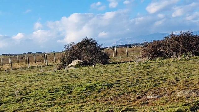 Cómo coger corujas, pamplinas, borujas...(Aprendiendo)