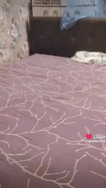 1000014812.mp4