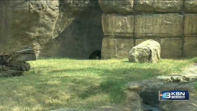 Zoo’s clever methods keeping animals cool