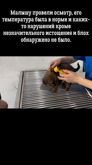 он ещё не потерял надежду на счастливую жизнь