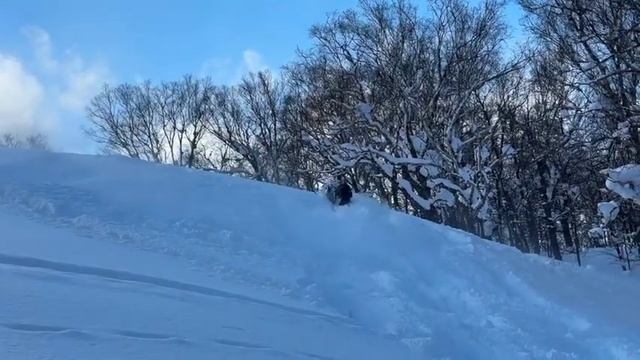 【Nぽん】2024 TKKY スノーモービル動画コンテスト